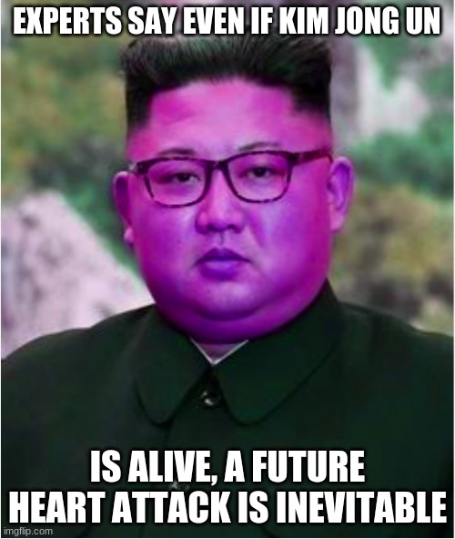 Violet Kim | EXPERTS SAY EVEN IF KIM JONG UN; IS ALIVE, A FUTURE HEART ATTACK IS INEVITABLE | image tagged in violet kim | made w/ Imgflip meme maker