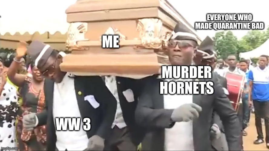 Coffin Dance | EVERYONE WHO MADE QUARANTINE BAD; ME; MURDER HORNETS; WW 3 | image tagged in coffin dance | made w/ Imgflip meme maker