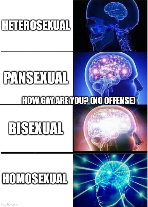 Expanding Brain | HETEROSEXUAL; PANSEXUAL; HOW GAY ARE YOU? (NO OFFENSE); BISEXUAL; HOMOSEXUAL | image tagged in memes,expanding brain | made w/ Imgflip meme maker