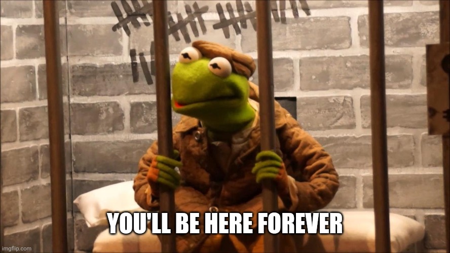 Kermit in jail | YOU'LL BE HERE FOREVER | image tagged in kermit in jail | made w/ Imgflip meme maker