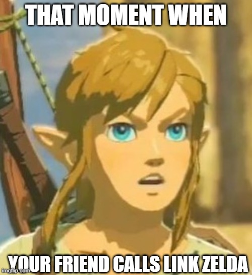 Offended Link | THAT MOMENT WHEN; YOUR FRIEND CALLS LINK ZELDA | image tagged in offended link | made w/ Imgflip meme maker