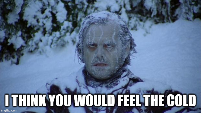 Cold | I THINK YOU WOULD FEEL THE COLD | image tagged in cold | made w/ Imgflip meme maker