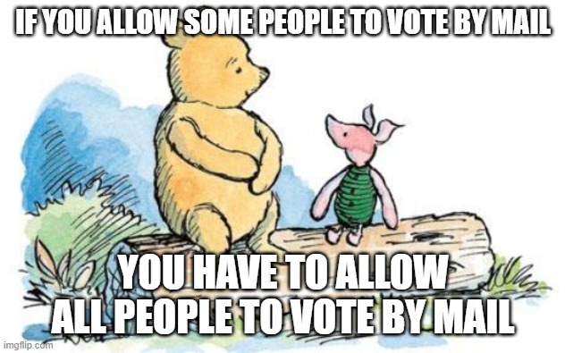 winnie the pooh and piglet | IF YOU ALLOW SOME PEOPLE TO VOTE BY MAIL; YOU HAVE TO ALLOW ALL PEOPLE TO VOTE BY MAIL | image tagged in winnie the pooh and piglet | made w/ Imgflip meme maker