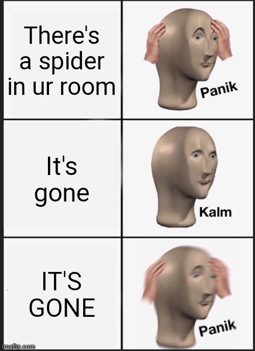 PANIK | There's a spider in ur room; It's gone; IT'S GONE | image tagged in memes,panik kalm panik | made w/ Imgflip meme maker