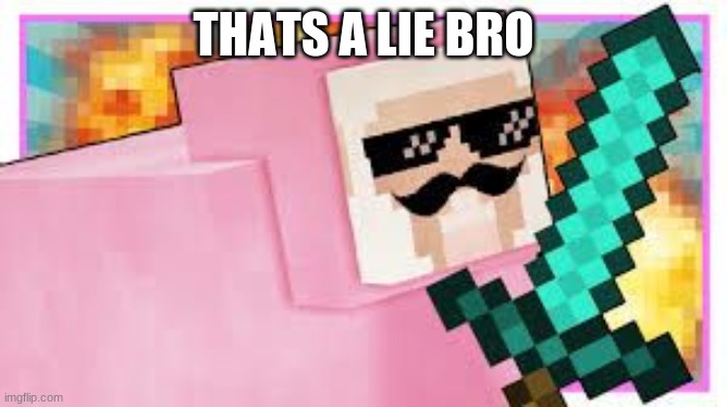 MLG Pink Sheep | THATS A LIE BRO | image tagged in mlg pink sheep | made w/ Imgflip meme maker