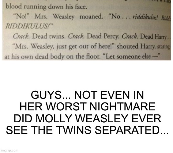 It says dead twins. Together. I am on the verge of tears. | GUYS... NOT EVEN IN HER WORST NIGHTMARE DID MOLLY WEASLEY EVER SEE THE TWINS SEPARATED... | image tagged in blank white template | made w/ Imgflip meme maker