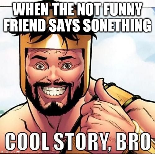Cool Story Bro | WHEN THE NOT FUNNY FRIEND SAYS SONETHING | image tagged in memes,cool story bro | made w/ Imgflip meme maker
