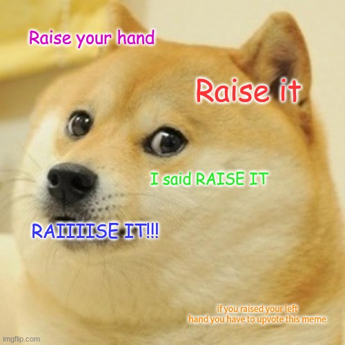 Doge | Raise your hand; Raise it; I said RAISE IT; RAIIIISE IT!!! if you raised your left hand you have to upvote this meme | image tagged in memes,doge | made w/ Imgflip meme maker