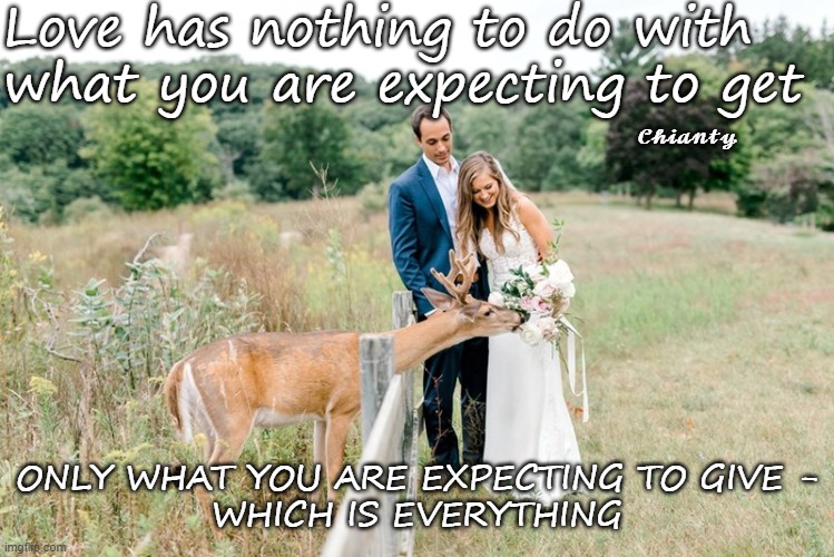 Love | Love has nothing to do with what you are expecting to get; 𝓒𝓱𝓲𝓪𝓷𝓽𝔂; ONLY WHAT YOU ARE EXPECTING TO GIVE -
WHICH IS EVERYTHING | image tagged in everything | made w/ Imgflip meme maker