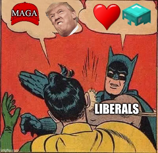 IDK | MAGA; LIBERALS | image tagged in memes,batman slapping robin,liberals,trump | made w/ Imgflip meme maker
