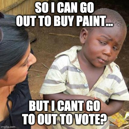 Hummm | SO I CAN GO OUT TO BUY PAINT... BUT I CANT GO TO OUT TO VOTE? | image tagged in memes,third world skeptical kid | made w/ Imgflip meme maker