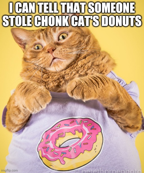 Chonk Cat donut | I CAN TELL THAT SOMEONE STOLE CHONK CAT'S DONUTS | image tagged in chonk cat donut | made w/ Imgflip meme maker