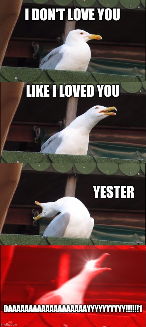 Gerard Seagull | I DON'T LOVE YOU; LIKE I LOVED YOU; YESTER; DAAAAAAAAAAAAAAAAAAAYYYYYYYYYY!!!!!!1 | image tagged in memes,inhaling seagull | made w/ Imgflip meme maker