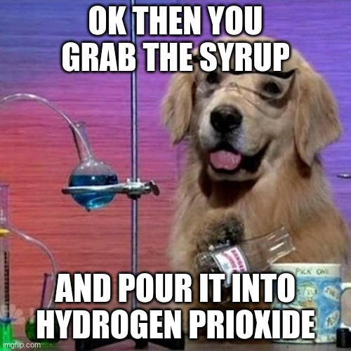 I Have No Idea What I Am Doing Dog Meme | OK THEN YOU GRAB THE SYRUP; AND POUR IT INTO HYDROGEN PRIOXIDE | image tagged in memes,i have no idea what i am doing dog,wtf,dog,science | made w/ Imgflip meme maker