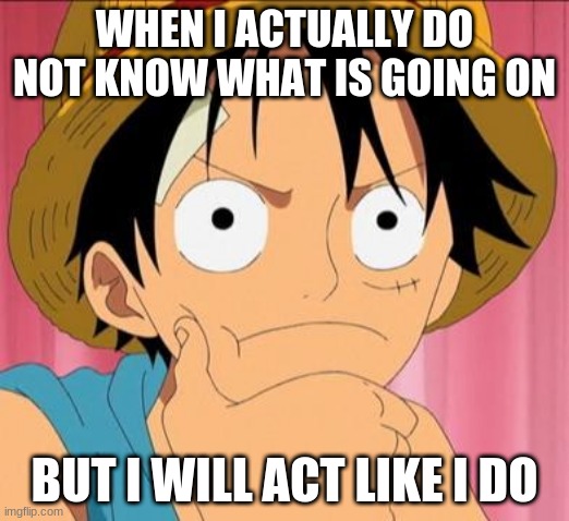 Luffy focused | WHEN I ACTUALLY DO NOT KNOW WHAT IS GOING ON; BUT I WILL ACT LIKE I DO | image tagged in luffy focused | made w/ Imgflip meme maker