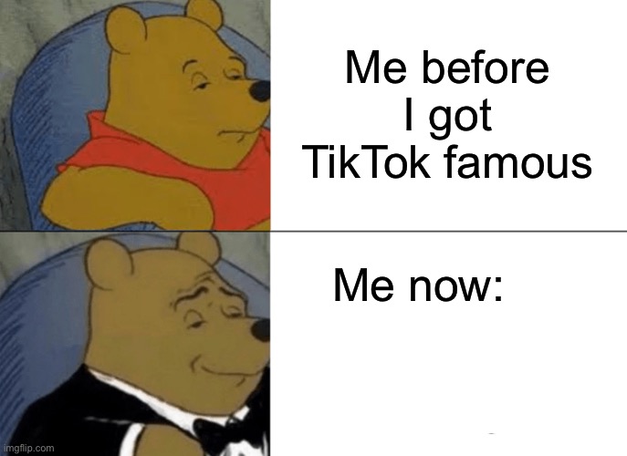 Tuxedo Winnie The Pooh | Me before I got TikTok famous; Me now: | image tagged in memes,tuxedo winnie the pooh | made w/ Imgflip meme maker