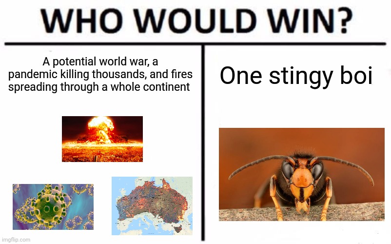 Oh no | A potential world war, a pandemic killing thousands, and fires spreading through a whole continent; One stingy boi | image tagged in memes,who would win | made w/ Imgflip meme maker
