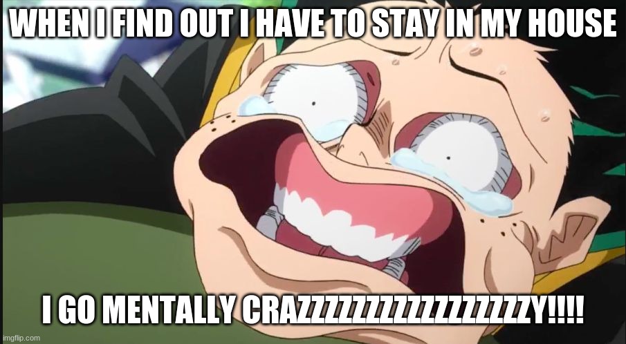 DEKU | WHEN I FIND OUT I HAVE TO STAY IN MY HOUSE; I GO MENTALLY CRAZZZZZZZZZZZZZZZZZY!!!! | image tagged in deku face | made w/ Imgflip meme maker