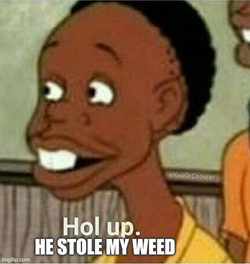 hol up | HE STOLE MY WEED | image tagged in hol up | made w/ Imgflip meme maker