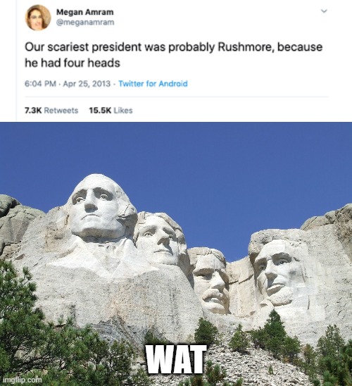 WAT | image tagged in mount rushmore,four,heads,funny,memes | made w/ Imgflip meme maker