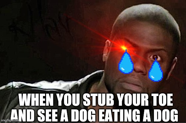 WHEN YOU STUB YOUR TOE AND SEE A DOG EATING A DOG | made w/ Imgflip meme maker
