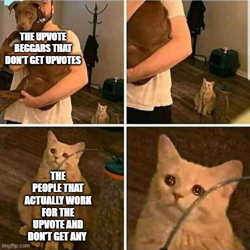 Sad Cat Holding Dog | THE UPVOTE BEGGARS THAT DON'T GET UPVOTES; THE PEOPLE THAT ACTUALLY WORK FOR THE UPVOTE AND DON'T GET ANY | image tagged in sad cat holding dog | made w/ Imgflip meme maker