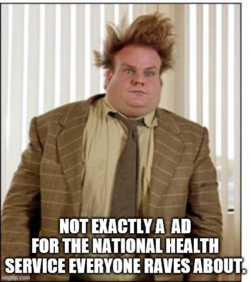 Chris Farley Hair | NOT EXACTLY A  AD FOR THE NATIONAL HEALTH SERVICE EVERYONE RAVES ABOUT. | image tagged in chris farley hair | made w/ Imgflip meme maker