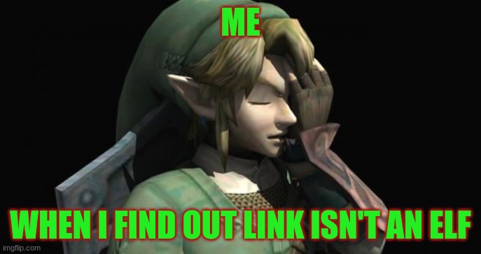 Link Facepalm |  ME; WHEN I FIND OUT LINK ISN'T AN ELF | image tagged in link facepalm | made w/ Imgflip meme maker