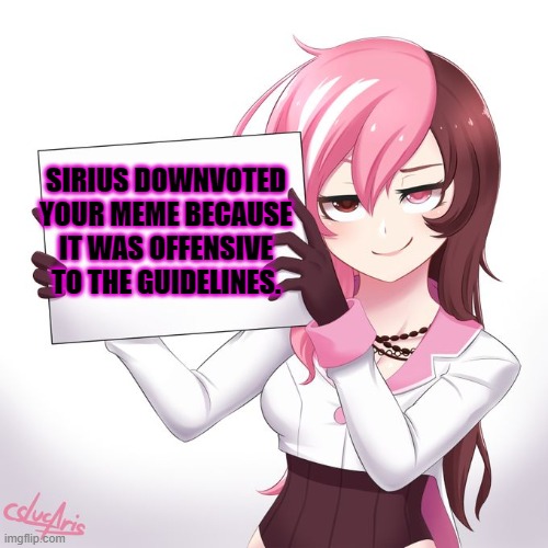 RWBY - Neo's sign  | SIRIUS DOWNVOTED YOUR MEME BECAUSE IT WAS OFFENSIVE TO THE GUIDELINES. | image tagged in rwby - neo's sign | made w/ Imgflip meme maker