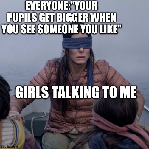 Lonely me:( | EVERYONE:"YOUR PUPILS GET BIGGER WHEN YOU SEE SOMEONE YOU LIKE"; GIRLS TALKING TO ME | image tagged in memes,bird box,girls be like,funny memes | made w/ Imgflip meme maker