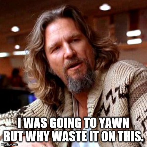 Confused Lebowski Meme | I WAS GOING TO YAWN BUT WHY WASTE IT ON THIS. | image tagged in memes,confused lebowski | made w/ Imgflip meme maker