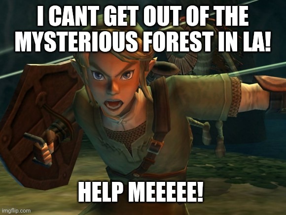Srsly help plz. | I CANT GET OUT OF THE MYSTERIOUS FOREST IN LA! HELP MEEEEE! | image tagged in link legend of zelda yelling | made w/ Imgflip meme maker