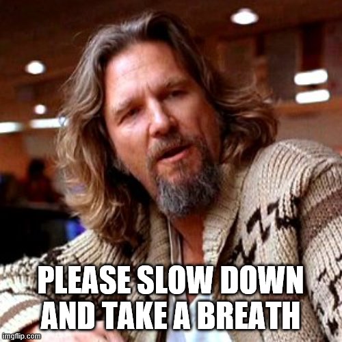 Confused Lebowski Meme | PLEASE SLOW DOWN AND TAKE A BREATH | image tagged in memes,confused lebowski | made w/ Imgflip meme maker