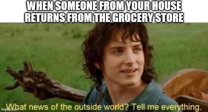 This is Relatable | WHEN SOMEONE FROM YOUR HOUSE RETURNS FROM THE GROCERY STORE | image tagged in coronavirus,memes,relatable | made w/ Imgflip meme maker