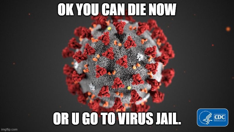 Coronavirus roast | OK YOU CAN DIE NOW; OR U GO TO VIRUS JAIL. | image tagged in covid 19 | made w/ Imgflip meme maker