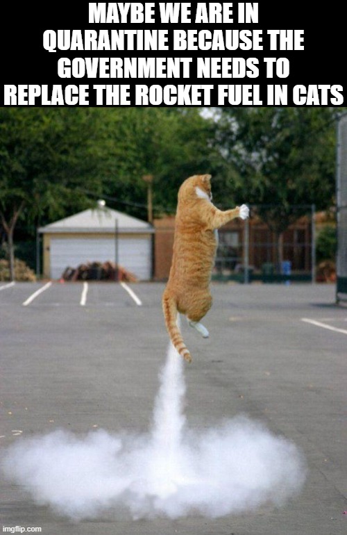 rocket cat | MAYBE WE ARE IN QUARANTINE BECAUSE THE GOVERNMENT NEEDS TO REPLACE THE ROCKET FUEL IN CATS | image tagged in rocket cat | made w/ Imgflip meme maker
