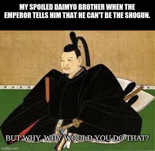 A Japanese meme | MY SPOILED DAIMYO BROTHER WHEN THE EMPEROR TELLS HIM THAT HE CAN'T BE THE SHOGUN. BUT WHY, WHY WOULD YOU DO THAT? | image tagged in japanese | made w/ Imgflip meme maker
