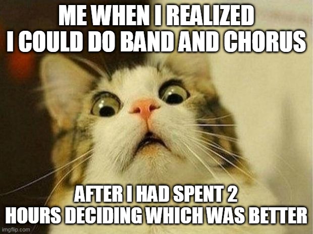 Ouchhhhhhhh | ME WHEN I REALIZED I COULD DO BAND AND CHORUS; AFTER I HAD SPENT 2 HOURS DECIDING WHICH WAS BETTER | image tagged in memes,scared cat | made w/ Imgflip meme maker