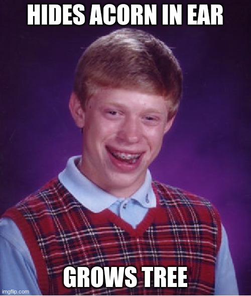 Bad Luck Brian Meme | HIDES ACORN IN EAR GROWS TREE | image tagged in memes,bad luck brian | made w/ Imgflip meme maker