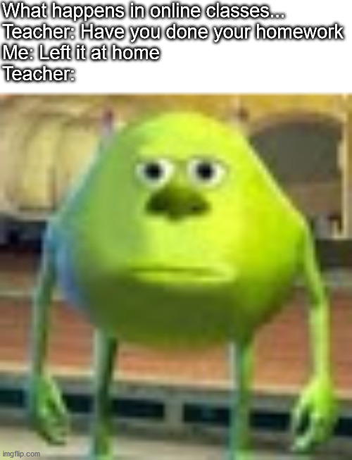 And now, Online Classes, brought to you by, not Yakko Warner, but Sully Wazoski! | What happens in online classes...
Teacher: Have you done your homework
Me: Left it at home
Teacher: | image tagged in sully wazowski,online school | made w/ Imgflip meme maker
