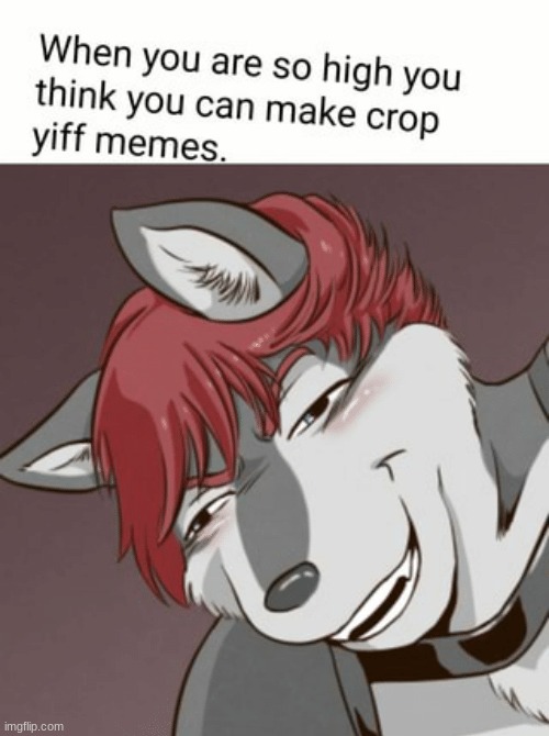 me irl | image tagged in furry,yiff | made w/ Imgflip meme maker