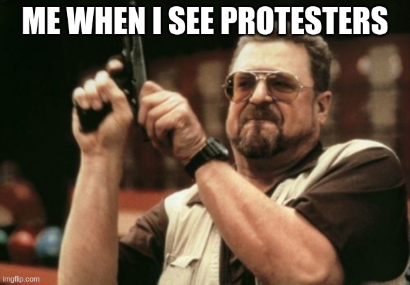 Am I The Only One Around Here Meme | ME WHEN I SEE PROTESTERS | image tagged in memes,am i the only one around here | made w/ Imgflip meme maker