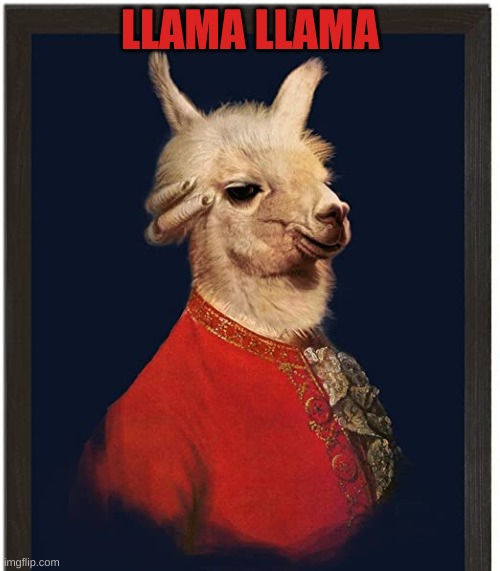 YEET THE YUMMY LLAMA | LLAMA LLAMA | image tagged in happy new year | made w/ Imgflip meme maker