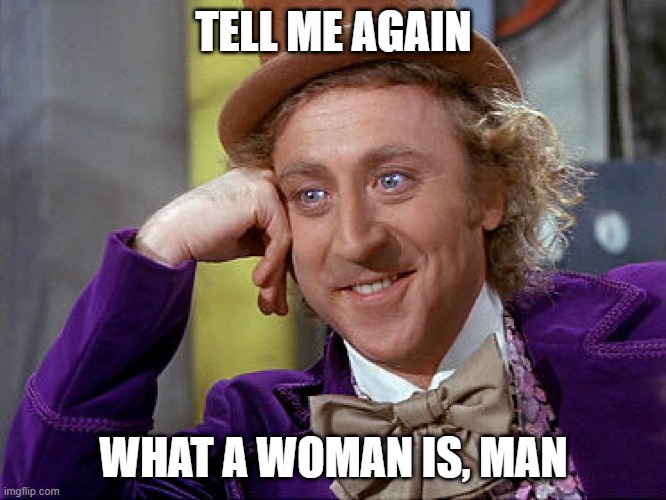 Willy Wonka woman man | TELL ME AGAIN; WHAT A WOMAN IS, MAN | image tagged in big willy wonka tell me again | made w/ Imgflip meme maker