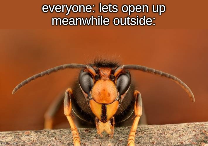 Murder Hornet | everyone: lets open up
meanwhile outside: | image tagged in murder hornet | made w/ Imgflip meme maker
