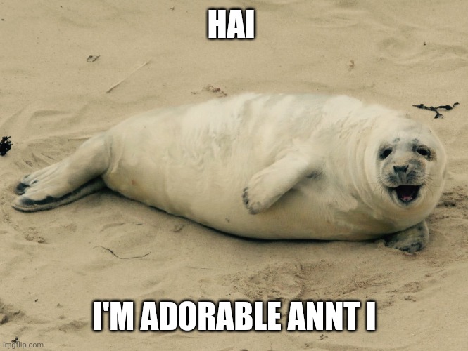 Happy seal | HAI; I'M ADORABLE ANNT I | image tagged in happy seal | made w/ Imgflip meme maker