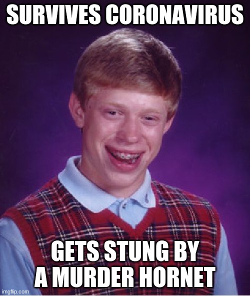 Image Title | SURVIVES CORONAVIRUS; GETS STUNG BY A MURDER HORNET | image tagged in memes,bad luck brian | made w/ Imgflip meme maker