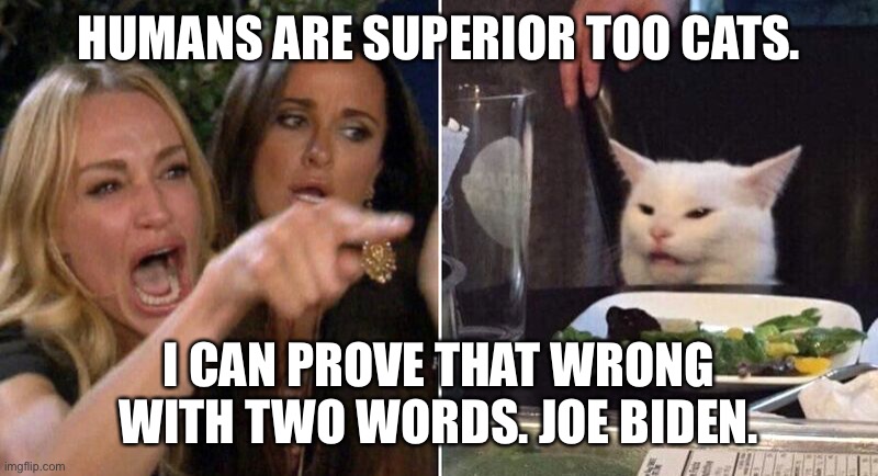 Woman Pointing at Cat | HUMANS ARE SUPERIOR TOO CATS. I CAN PROVE THAT WRONG WITH TWO WORDS. JOE BIDEN. | image tagged in woman pointing at cat | made w/ Imgflip meme maker