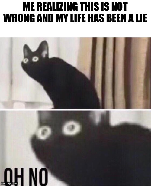Oh no cat | ME REALIZING THIS IS NOT WRONG AND MY LIFE HAS BEEN A LIE | image tagged in oh no cat | made w/ Imgflip meme maker