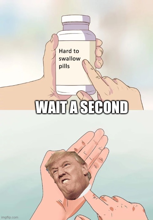 Hard To Swallow Pills Meme | WAIT A SECOND | image tagged in memes,hard to swallow pills | made w/ Imgflip meme maker